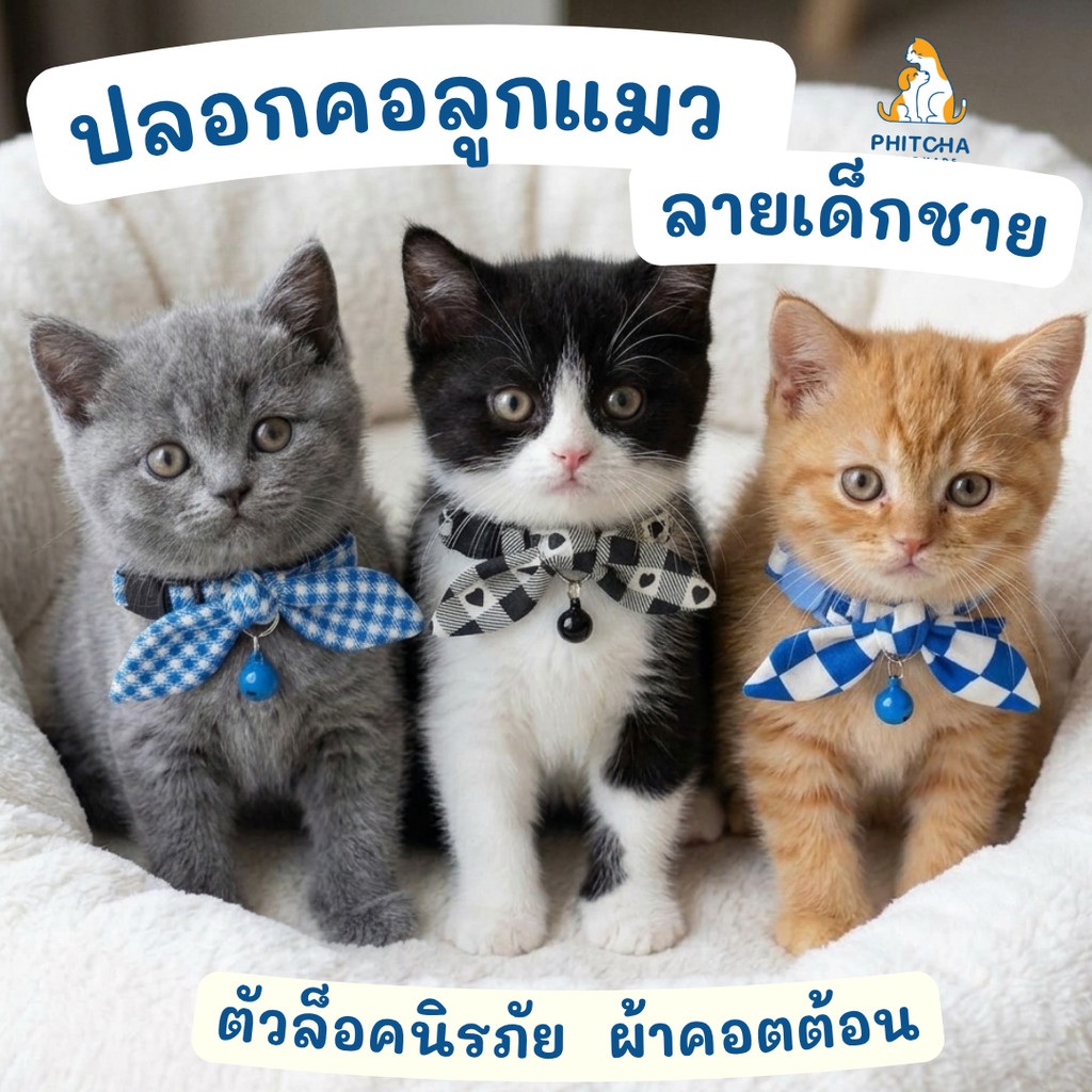 (ลูกแมว)ลายเด็กชาย • ปลอกคอแมวผ้า • (ล็อคนิรภัย) • ปลอกคอแมวน่ารัก • ปลอกคอลูกแมว