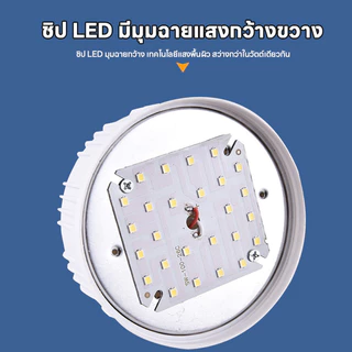 ไฟตกปลา ไฟคีบแบต ไฟสีเขียว 800W DC12V ไฟไดหมึก สีเขียวล่อปลา อุปกรณ์ตกปลา กันน้ำระดับ IP20