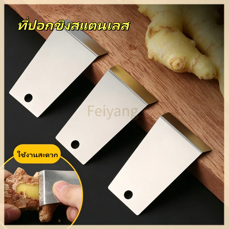 Feiyang ที่ปอกขิงสแตนเลส ที่ปอกกระเทียมในครัว มีดปลอกผลไม้ ที่ปอกเปลือกผลไม้ อุปกรณ์ในครัว ใช้งานสะดวก