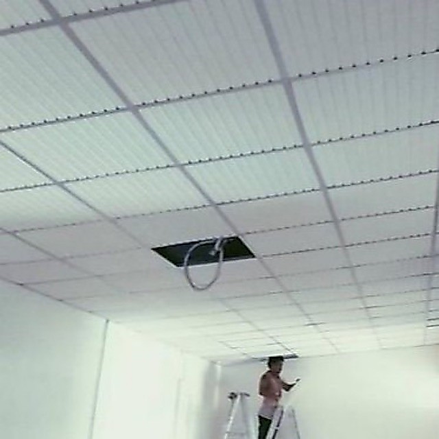 ฝ้ากันน้ำไม้พลาสวูด+PE กันปลวก ไม่ลามไฟ ขนาด60*60Cm.(ราคาต่อเเผ่น)