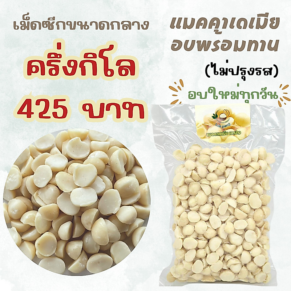 แมคคาเดเมีย เม็ดซีกA2 อบพร้อมทาน ขนาดกลาง 500 กรัม