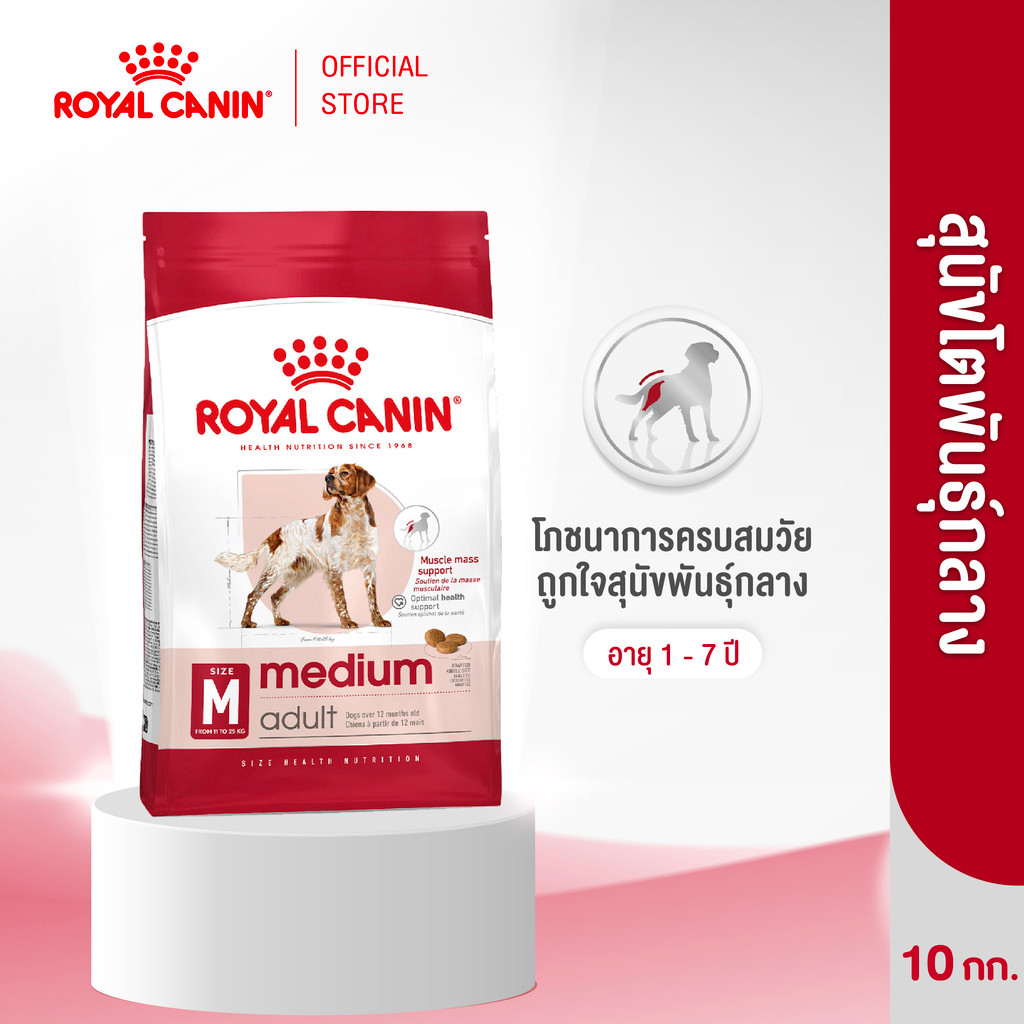 Royal Canin Medium Adult 10kg อาหารเม็ดสุนัขโต พันธุ์กลาง อายุ 12 เดือน - 7 ปี (Dry Dog Food, โรยัล คานิน)