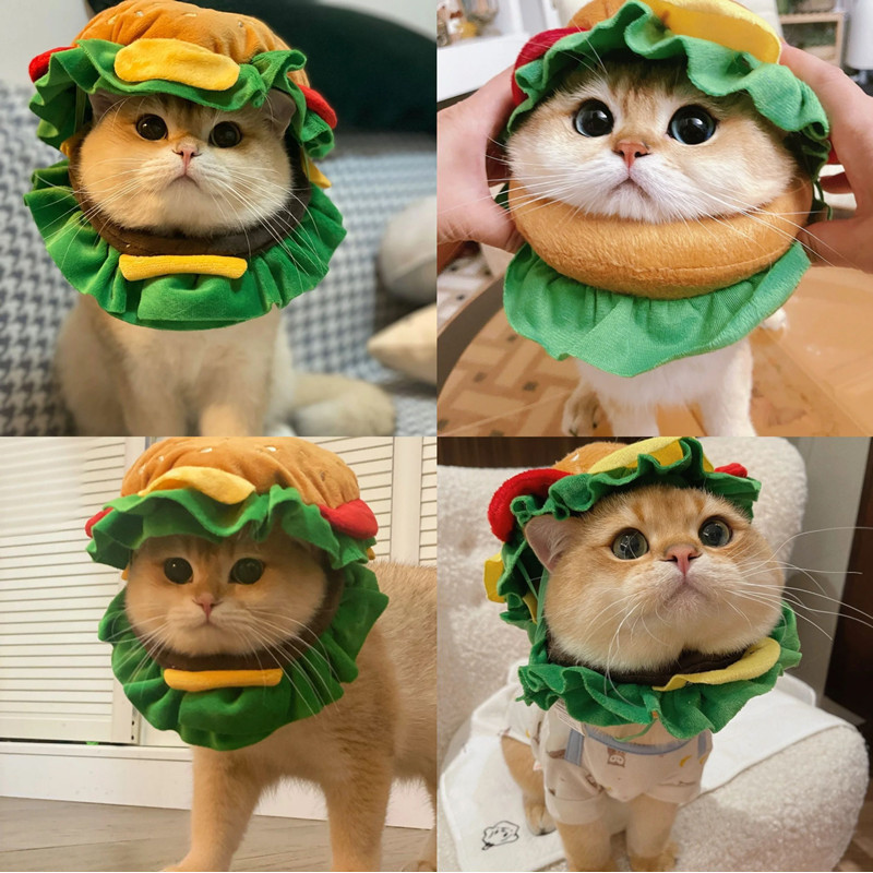Cat Cartoon Burger Headgear Collar Bib Pet Dog Funny Hat * & *&