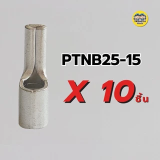 **ราคาต่อ 10 ชิ้น** หางปลาเข็มแบน เปลือย PTNB 10-12 16-13 25-15 35-20 50-20 แบบหนา หางปลา