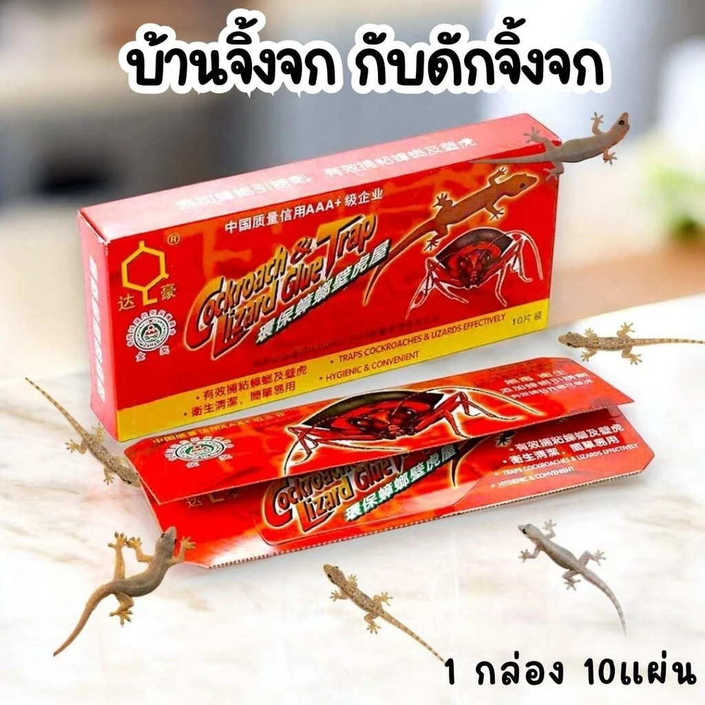 10แผ่น ติดตุ๊กแกได้ง่าย กําจัดจิ้งจก ดักจิ้งจก บ้านจิ้งจก การจับตุ๊กแกทางกายภาพ ปลอดภัยยิ่งขึ้น ไม่มีสารเคมี ไร้กังวล กา