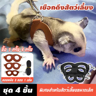 4 ชิ้นสัตว์เลี้ยงขนาดเล็กสายรัดหน้าอกหนูแฮมสเตอร์กระรอก Leash Anti Bite Traction เชือก Sugar Glider Windproof พิเศษ