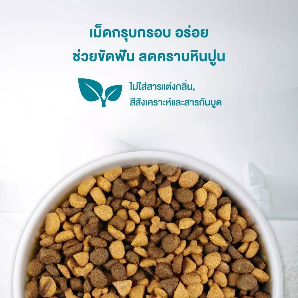 อาหารแมว Purina ONE ขนาด 10 kg thumbnail 4