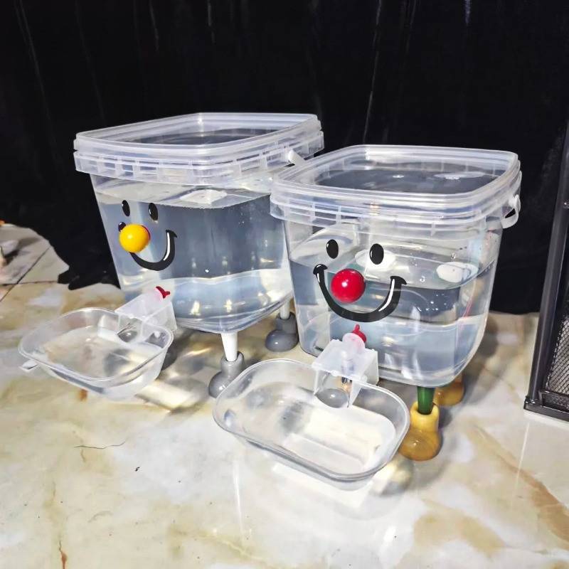 รูปภาพ 6