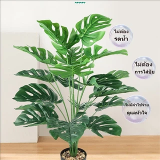 ตกแต่งห้องนั่งเล่นจําลองพืช พืชประดิษฐ์ พืชปลอมตกแต่งบ้าน ต้นไม้ปลอมสไตล์มินิมอล สำหรับตกแต่งบ้านและสวน