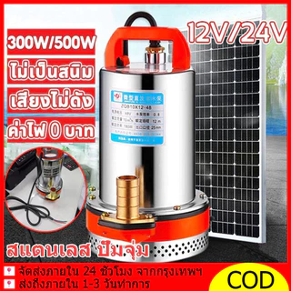 สแตนเลสปั๊มจุ่ม ปั๊มน้ำไดโว่ฐานเหล็ก DC Pump 1นิ้ว12/24V 300W/500W 100% มอเตอร์ทองแดงแท้ ปั๊มน้ำดีซีจุ่ม