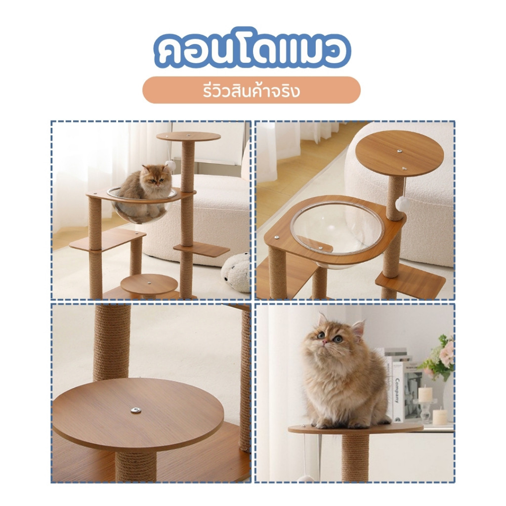 [Bratvee] คอนโดแมว ที่นอนแมว บ้านแมว เสาลับเล็บแมว ที่นอนหลุมอวกาศ เหมาะสำหรับแมว 1-2 ตัว - รูปที่ 3