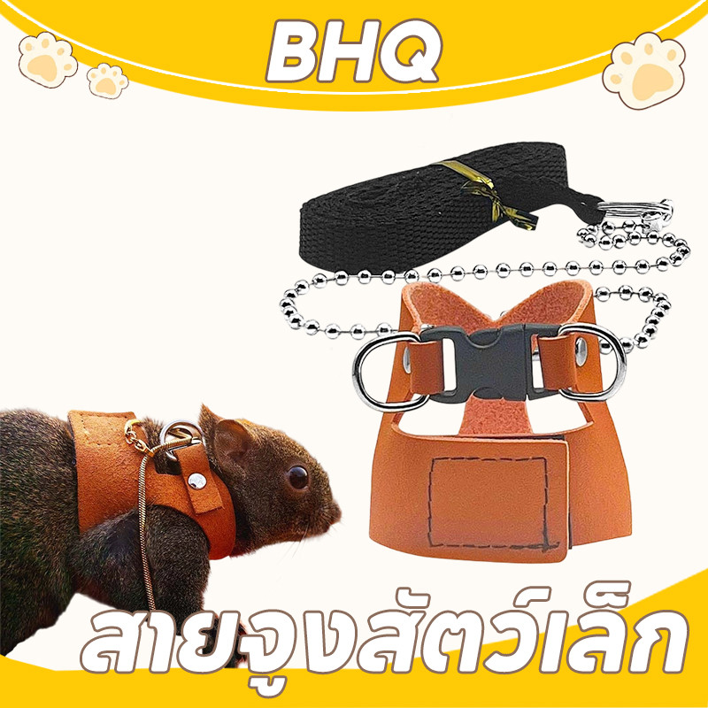 BHQ เชือกจูงสัตว์เลี้ยง  สายจูงสัตว์เล็ก  หนูแฮมสเตอร์ กระรอก กันลม กันหาย