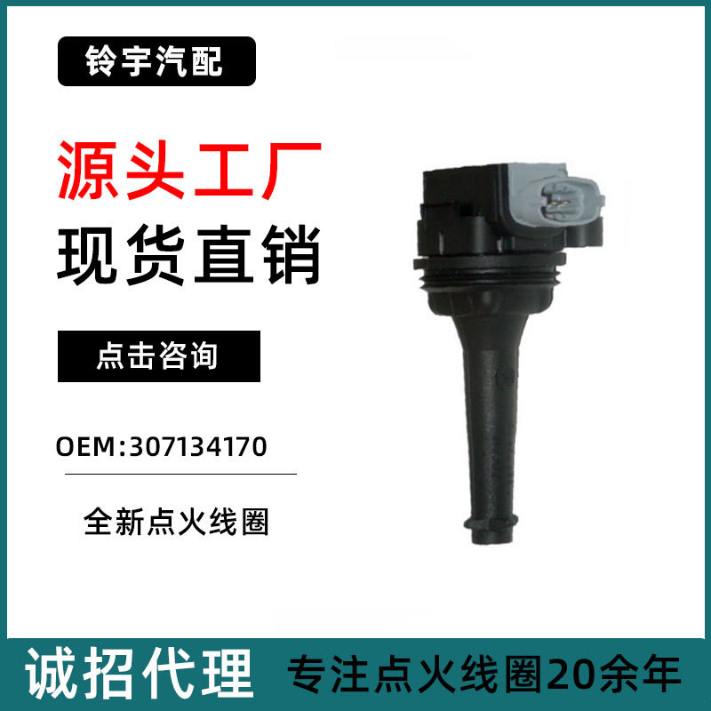 เหมาะสําหรับ Changan Volvo-S80L/S40 นําเข้า Volvo-S40 คอยล์จุดระเบิด30713417