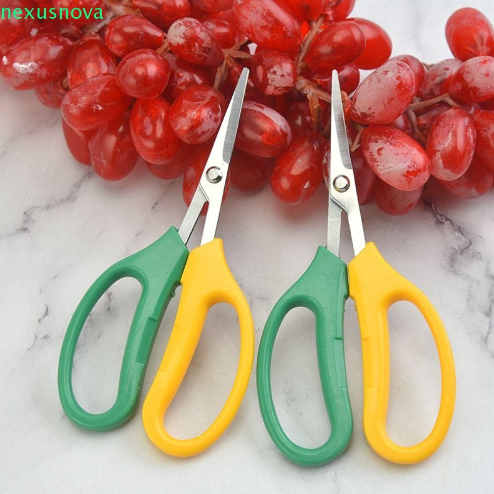 กรรไกรตัดแต่งกิ่ง NEXUSNOVA, กรรไกรสวนข้อศอกประหยัดแรงงาน, มัลติฟังก์ชั่หายาก Sharp Pruners กรรไกรอง