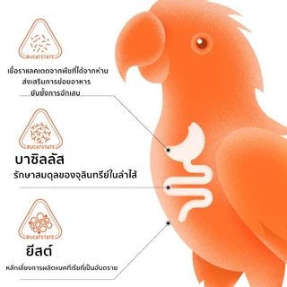 🦜อาหารนกแก้ว 500g อาหารนกแก้วฟอพั อาหารนกฟอพัสส อาหารนกเฉพาะ ซื้อหนึ่งแถมสาม