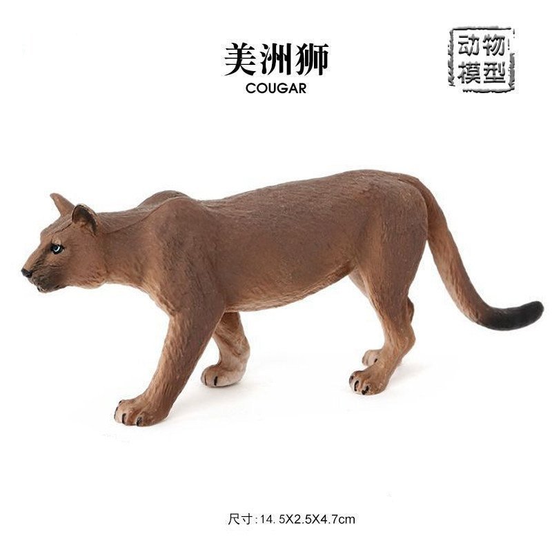 Cougar รุ่น Cougar จําลอง Wildlife Mountain Lion Cougar Golden Cat เครื่องประดับ Early Education ของ