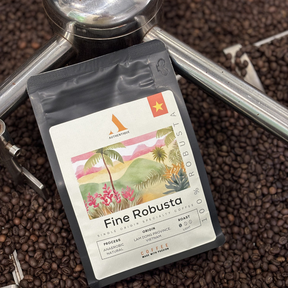 Authentique Specilaity Fine Robusta 100% (Light Roast) (Vietnam Coffee Beans) 250g กาแฟคั่วอ่อน