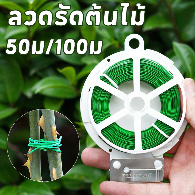 ลวดรัดต้นไม้ ลวดดัดกิ่ง 50ม/100ม ลวดมัดต้นไม้ ลวดหุ้มพลาสติกเหนียว ทนทาน ใช้ได้ร้อยอย่าง งานสวนก็ได้