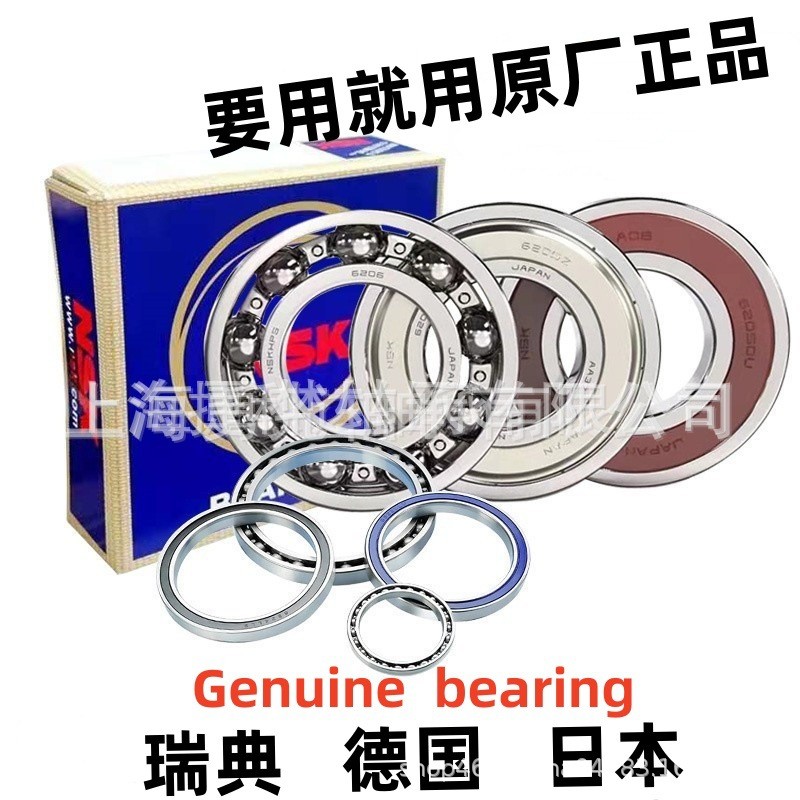 NSK Bearing NSK 6006 6007 6008 6009 6010 6011 6012 6013 ZZ DDU4.6