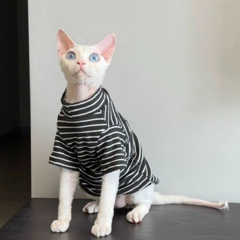 Sphinx Cat Abisnia ลูกแมว Hairless Cat เยอรมัน Multicolor Stripes เสื้อผ้าฤดูร้อน Breathable น้ําหนั