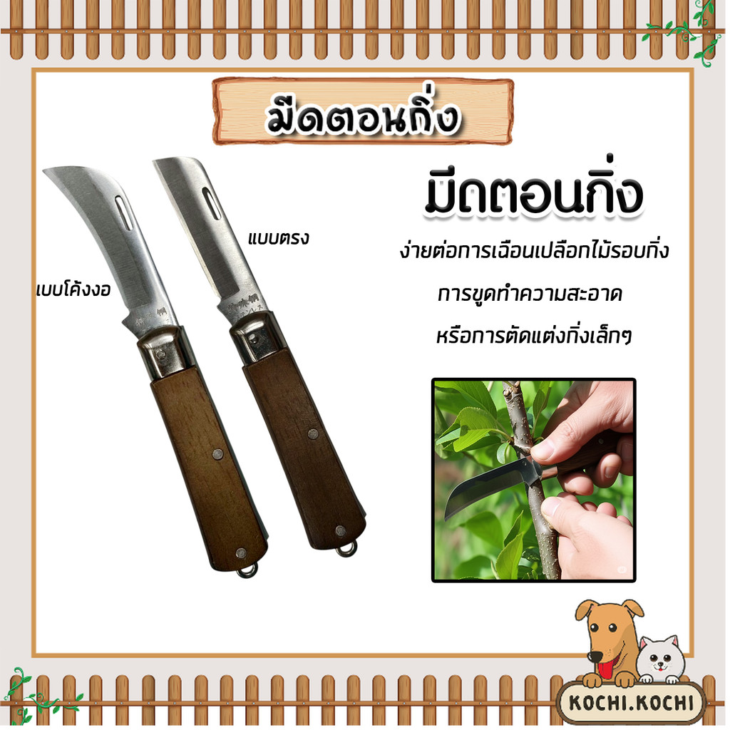 มีดตอนกิ่ง มี 2แบบ โค้งงอ / ตรง ใบมีดคม แข็งแรง ทนทาน ใช้งานง่าย สำหรับงานเกษตร ทำกิ่งพันธุ์ ปลูกต้นไม้ ทนทาน