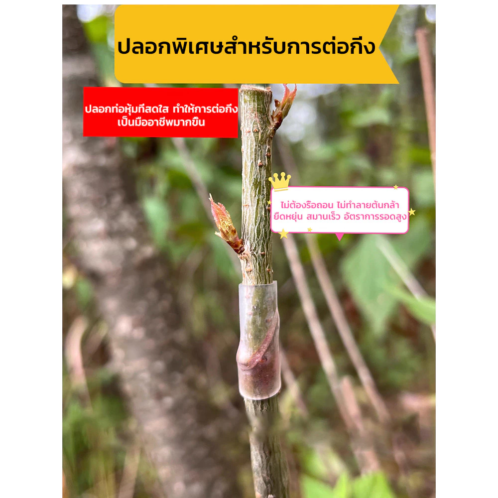 ปลอกซิลิโคนต่อกิ่ง อุปกรณ์ป้องกันจุดต่อกิ่ง สำหรับไม้ผลและไม้ดอก thumbnail 9