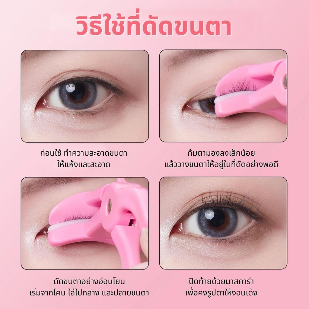 รูปภาพ 2