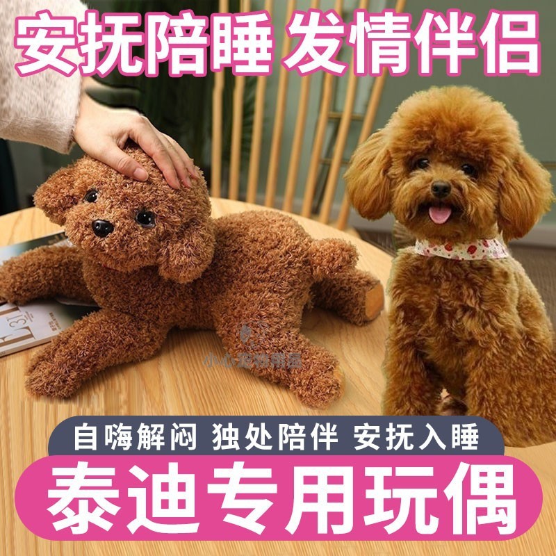Teddy Bitch Male Dog Matching Toy Dog Emergency Period Toy Pet Nuffina Companion Sleeping Doll