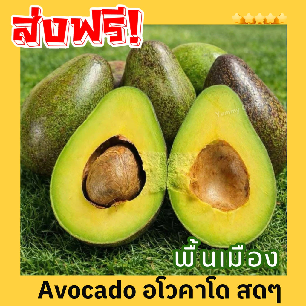 M พร้อมส่ง อะโวคาโด พื้นเมือง บัคคาเนียร์ ถูกมาก 1 kg!! avocado อโวคาโด้ อโวคาโด อโวคาโด้ อโวคาโด้สด อโวคาโดสด สดจากไร่