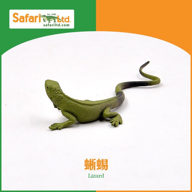 สินค้าใหม่ Safari Lizard Green Lizard Tropical Desert World จําลองสัตว์รุ่นของเล่นเด็กเด็ก OXPH