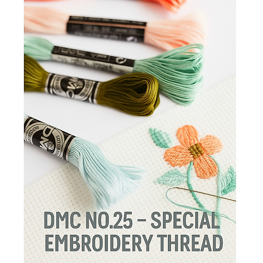 DMC no 25 Special Embroidery รุ่นพิเศษ 4 เส้น ฝรั่งเศสแท้ รหัส ( 775 - 3865)