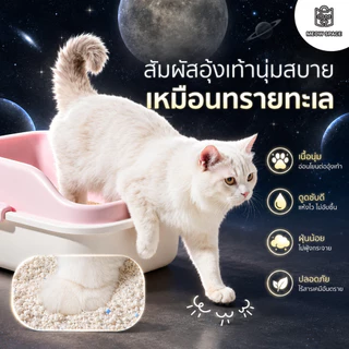 ทรายแมวมันสำปะหลังMEOW SPACE 1.25กิโล ทรายแมวไร้ฝุ่น จับก้อนทันที ไม่ติดกะบะทราย
