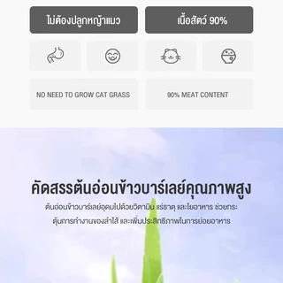 😺หญ้าแมวฟรีซดราย 100g ช่วยขับก้อนขน บำรุงระบบย่อย อาหารเสริมแมวธรรมชาติ