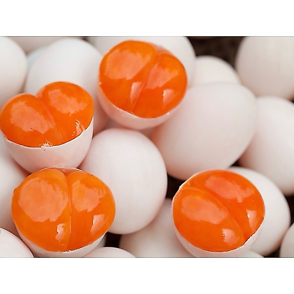 กนกพรไข่ครอบ สิงหนคร สงขลา ฮาลาล ทำสดใหม่วันต่อวันไม่ใส่สารกันบูด