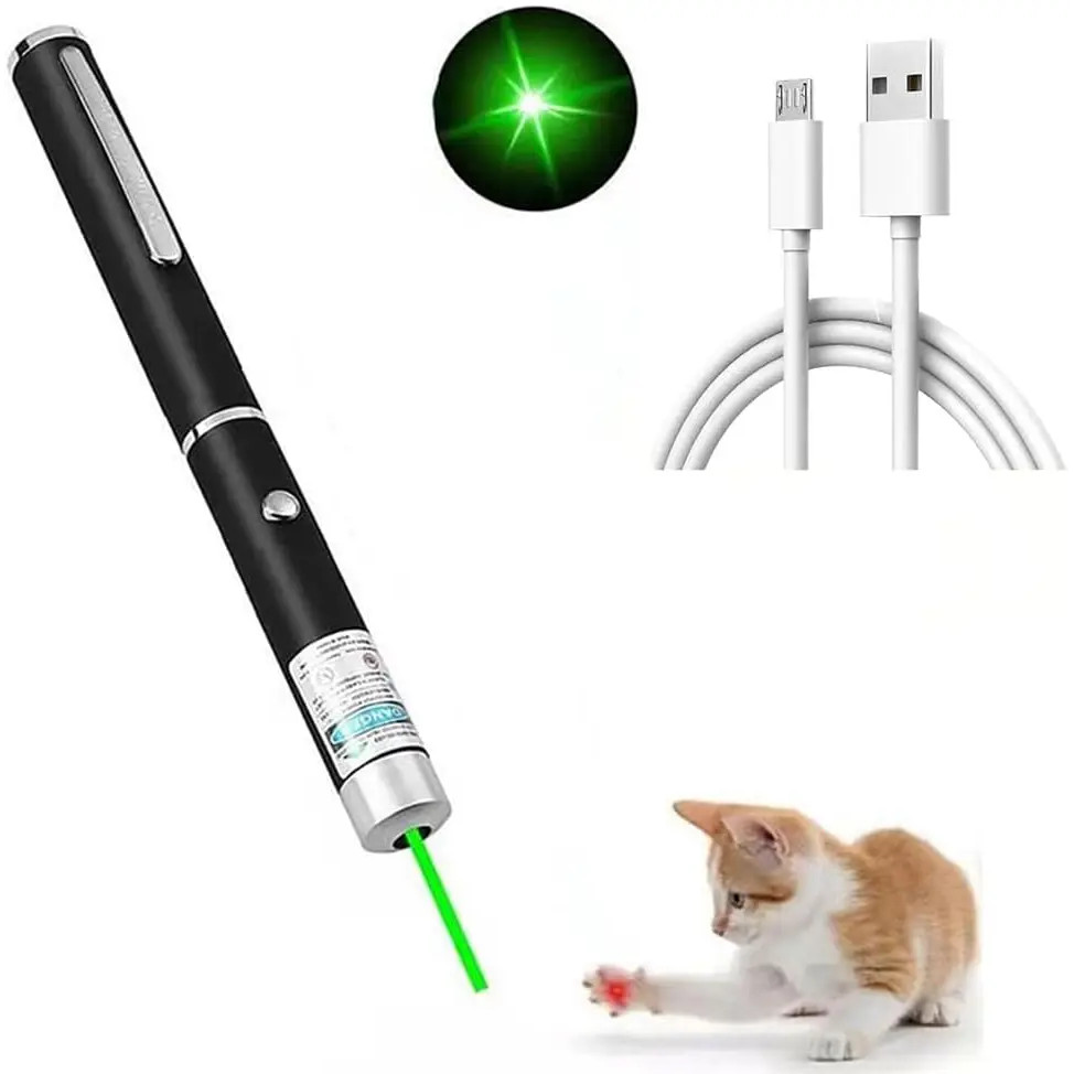 USB Green Laser Pointer laser Sight ไฟฉาย Lazer การฝึกอบรมไฟฉายสําหรับการสอนการท่องเที่ยว