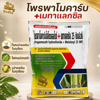 (ยกลัง 1kg*25) โพรพาโมคาร์บ+เมทาแลกซิล ยกลังบรรจุ 25 kg สารป้องกันกำจัดโรคพืช ใบไหม้ รากเน่า โคนเน่า ไฟท็อป ตราสิงห์ไท