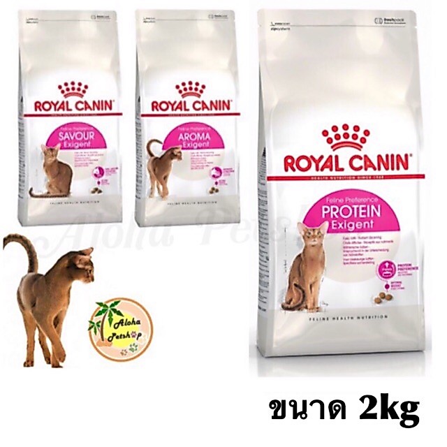 Royal canin Exigent Formular for Cat❤️😺โรยัล คานิน อาหารสำหรับแมวทานยาก ขนาด 2kg