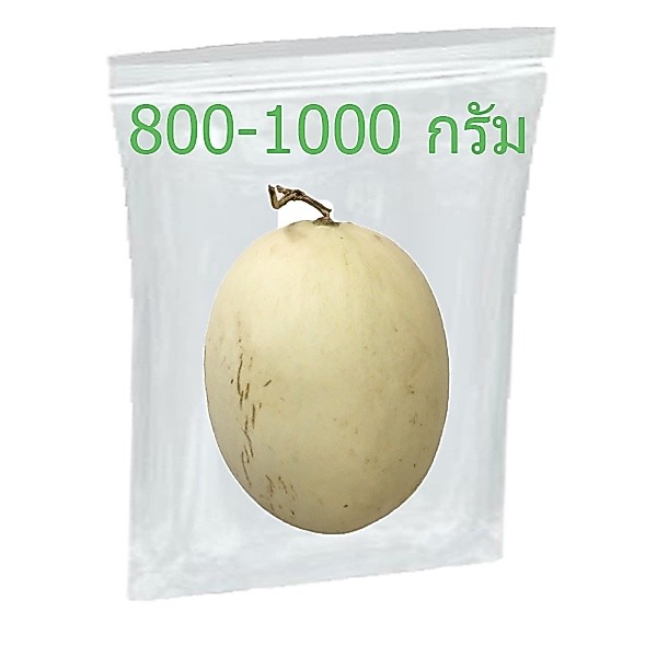 แคนตาลูป - แคนตาลูปไทย แคนตาลุป แคนตาลูบ แคนตาลูปส้ม ผักผลไม้สดใหม่