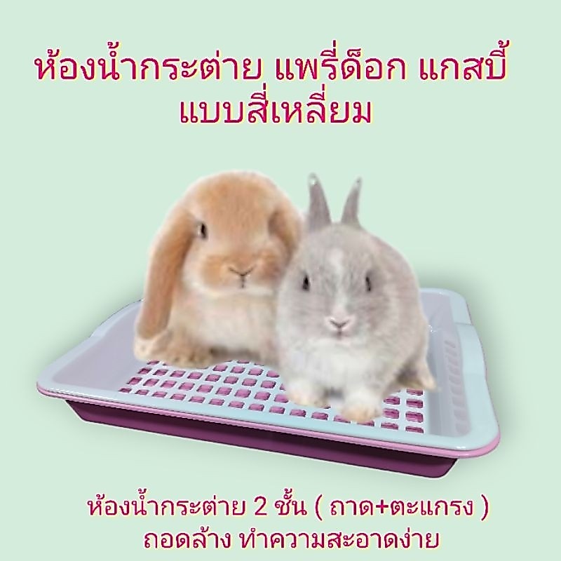 ห้องน้ำกระต่าย ถาดฉี่ รุ่นประหยัด ขนาด 33.5x 25.5 x 5 cm. ( คละสี )