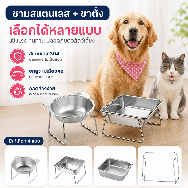 พร้อมส่ง! ชามสแตนเลส 304 ยกสูง 15° กันอาหารเลอะ ปาก 25 ซม. พร้อมฝาปิด ใช้ได้ทั้งแมว-สุนัข ล้างง่าย ทนทาน