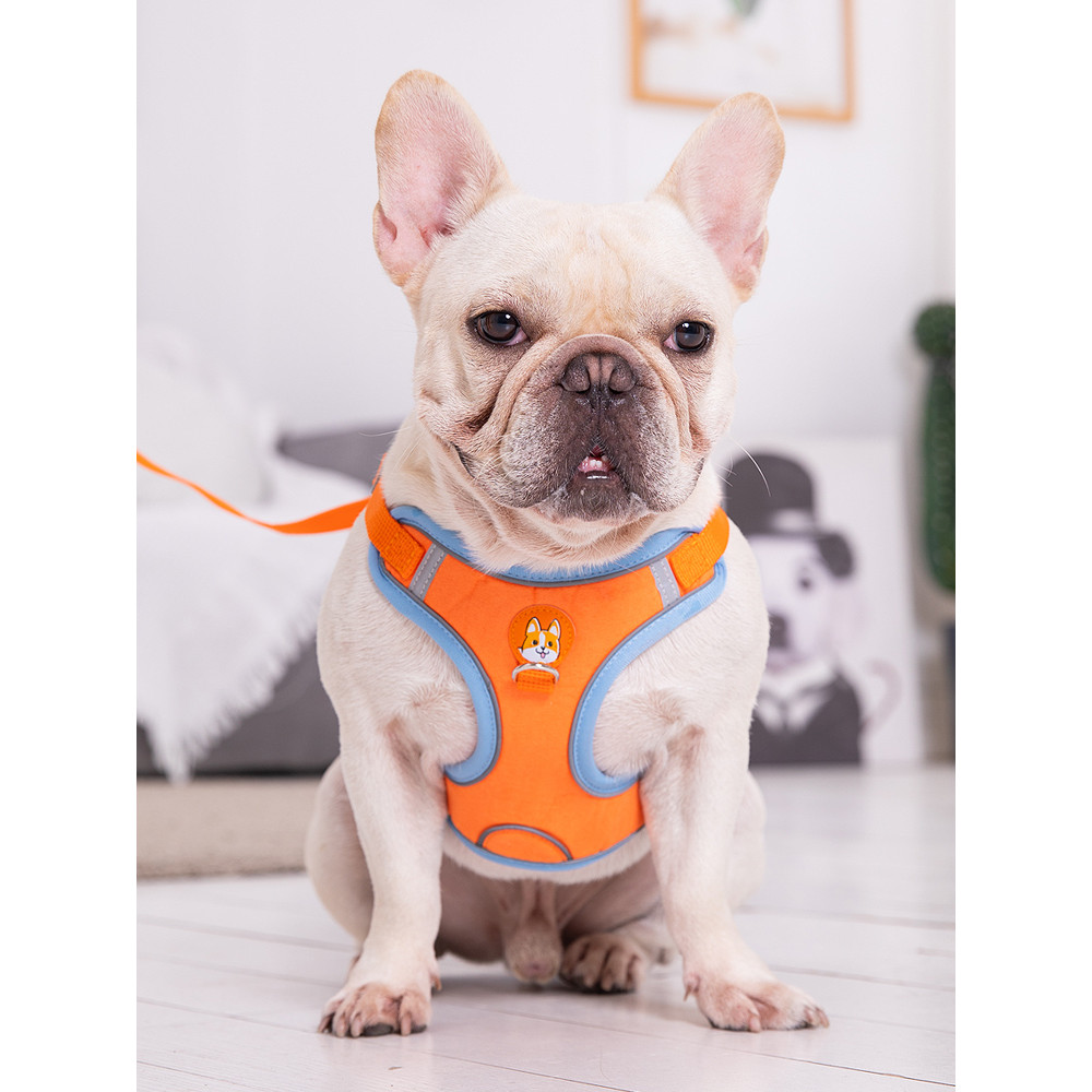 French Fighting Pug Leash Dog Small Dog Walking Dog Leash Vest Type ปรับหน้าอกกลับ Corgi Pug Dog Lea