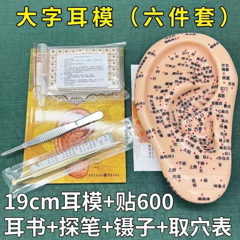 Acupoint Ear Ear Ear Ear Patch Model จําลองหู Bean Seed Ear Acupoint Patch กดการแพทย์แผนจีนนวดหู Acu