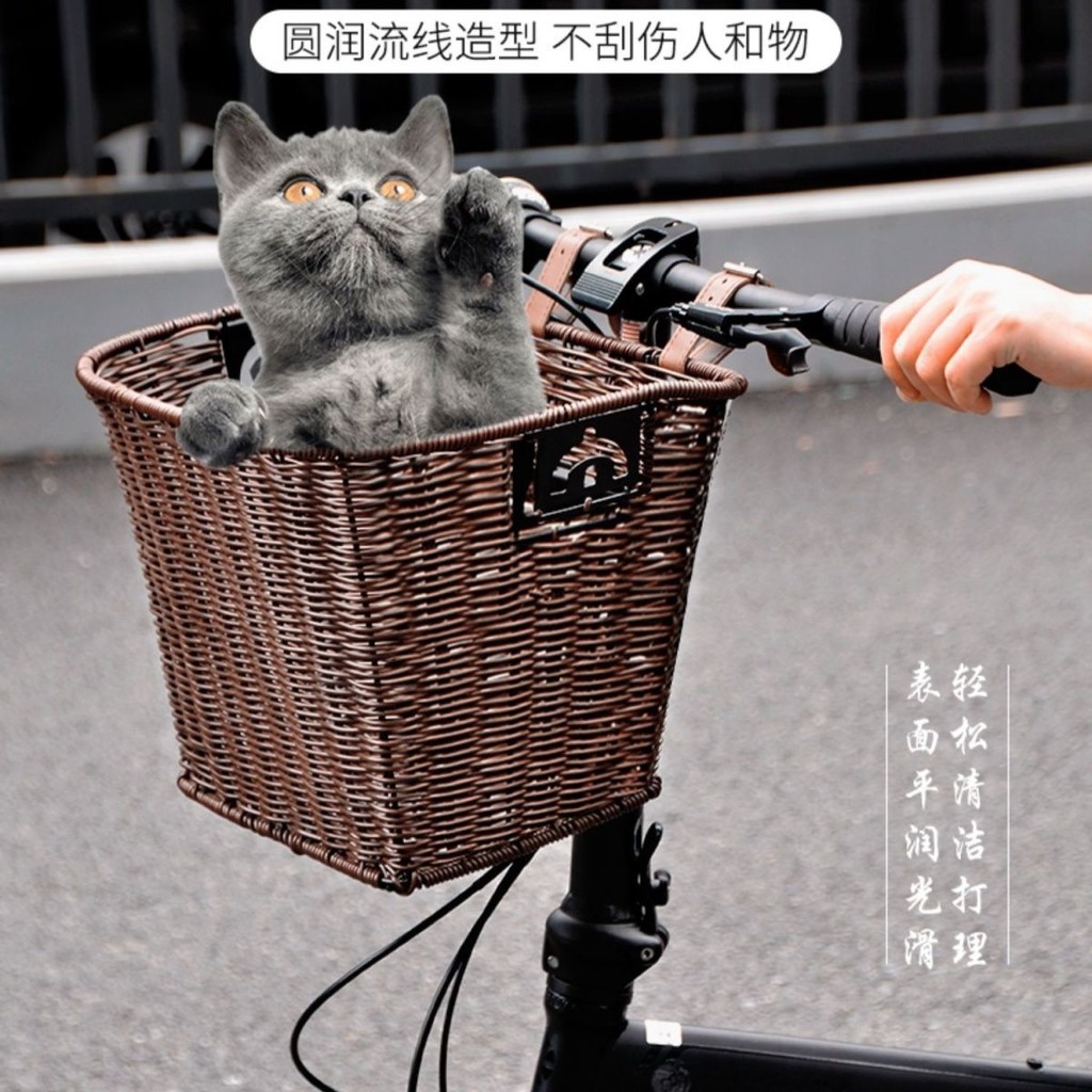 จักรยาน Retro Dahong มีตะกร้าทอมือแบบถอดได้