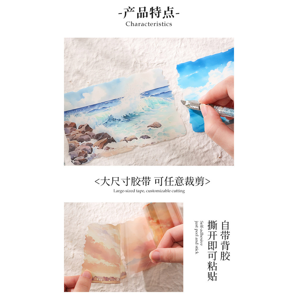 โปร่งใสโปร่งใสกันน้ําสัตว์เลี้ยงเทปชุดกล่องจังหวะ Leisure รูปที่ 3