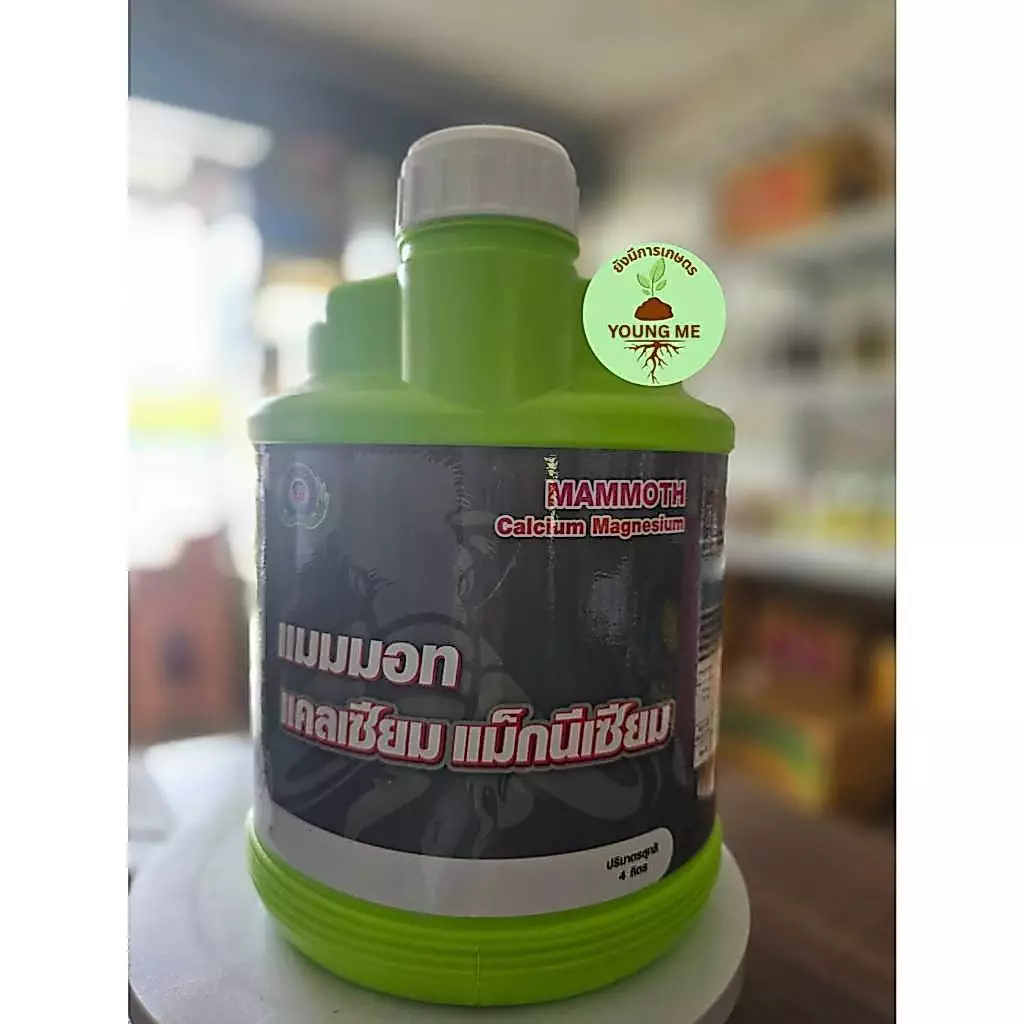 แมมมอท แคลเซียม แม็กนีเซียม เทพวัฒนา ตราปลาคู่ ธาตุอาหารรองที่จำเป็นสำหรับพืชทำให้พืชแข็งแรง