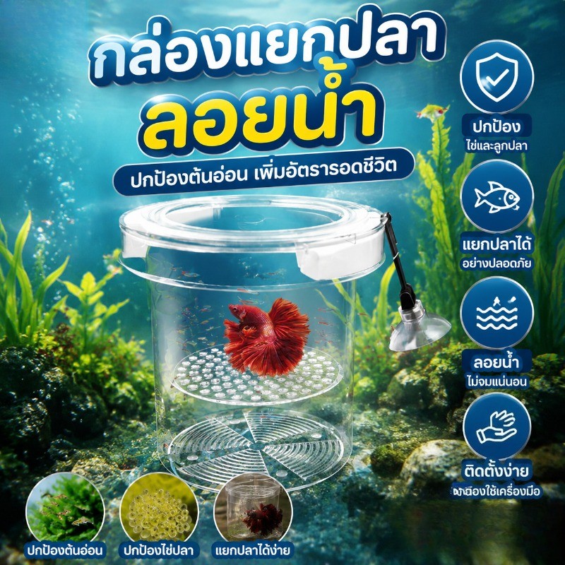COD กล่องแยกปลา  ลอยอยู่ในน้ำ  ปกป้องตัวอ่อนและไข่ปลา  ปกป้องไข่ปลา สำหรับตู้ปลาทุกขนาด