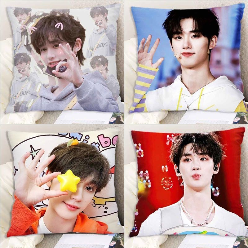 Idol Times Youth League Ding Chengxin Zhang Zhenyuan สินค้า Ding Chengxin หมอน Merchanting สํานักงาน