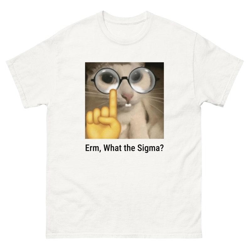 what is sigma cat  unisex T-SHIRT for man women