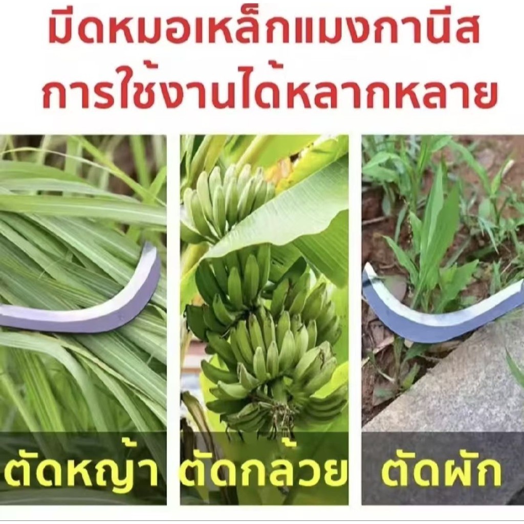 85CM เคียวแมงกานีส เคียวเหล็กแมงกานีส เคียวเกี่ยวหญ้า เคียวเกี่ยวข้าว มีดถางหญ้า คียวตัดกิ่งไม้ - รูปที่ 2