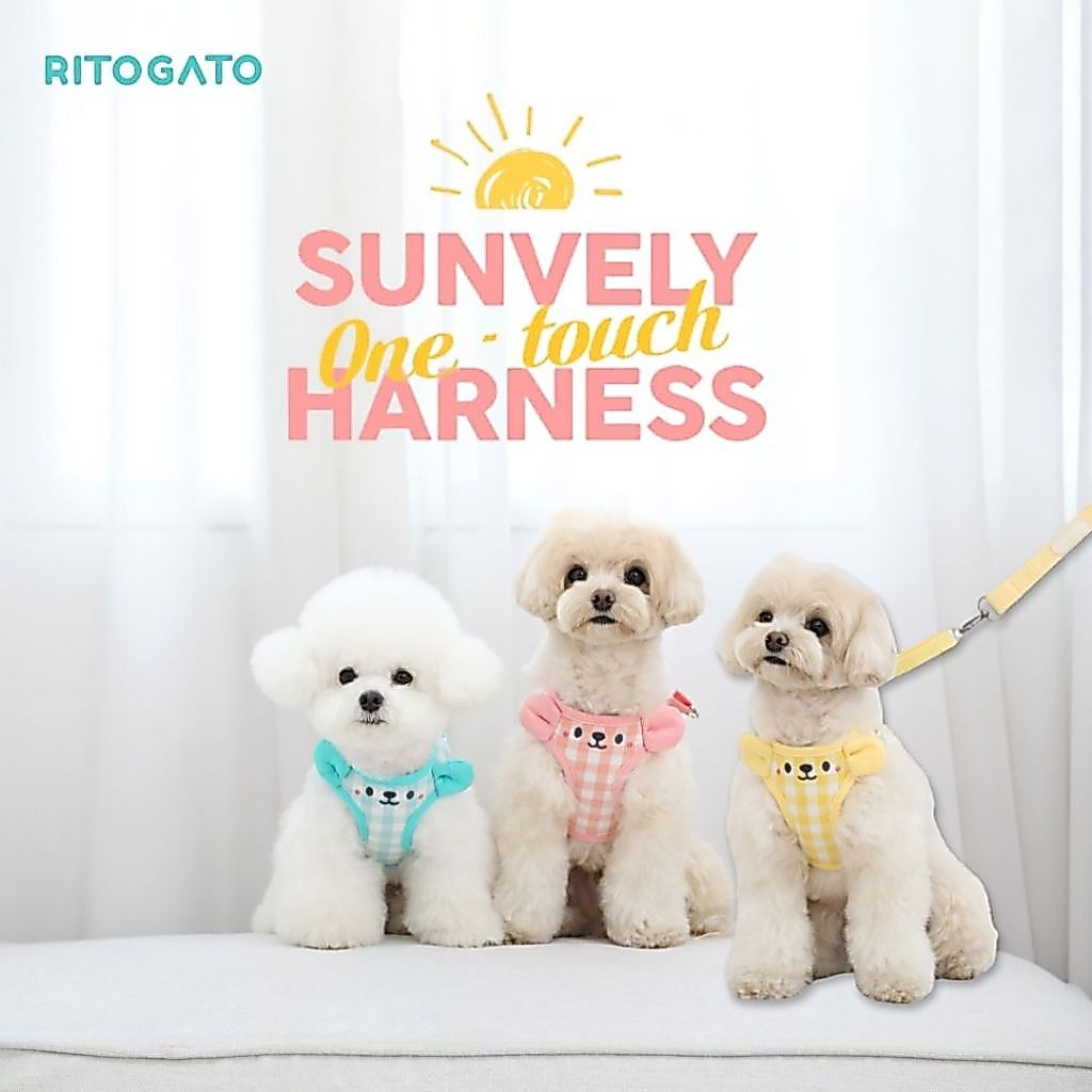 Ritogato Sunvely Harness สายรัดอกสำหรับสุนัข นำเจ้าจากเกาหลี
